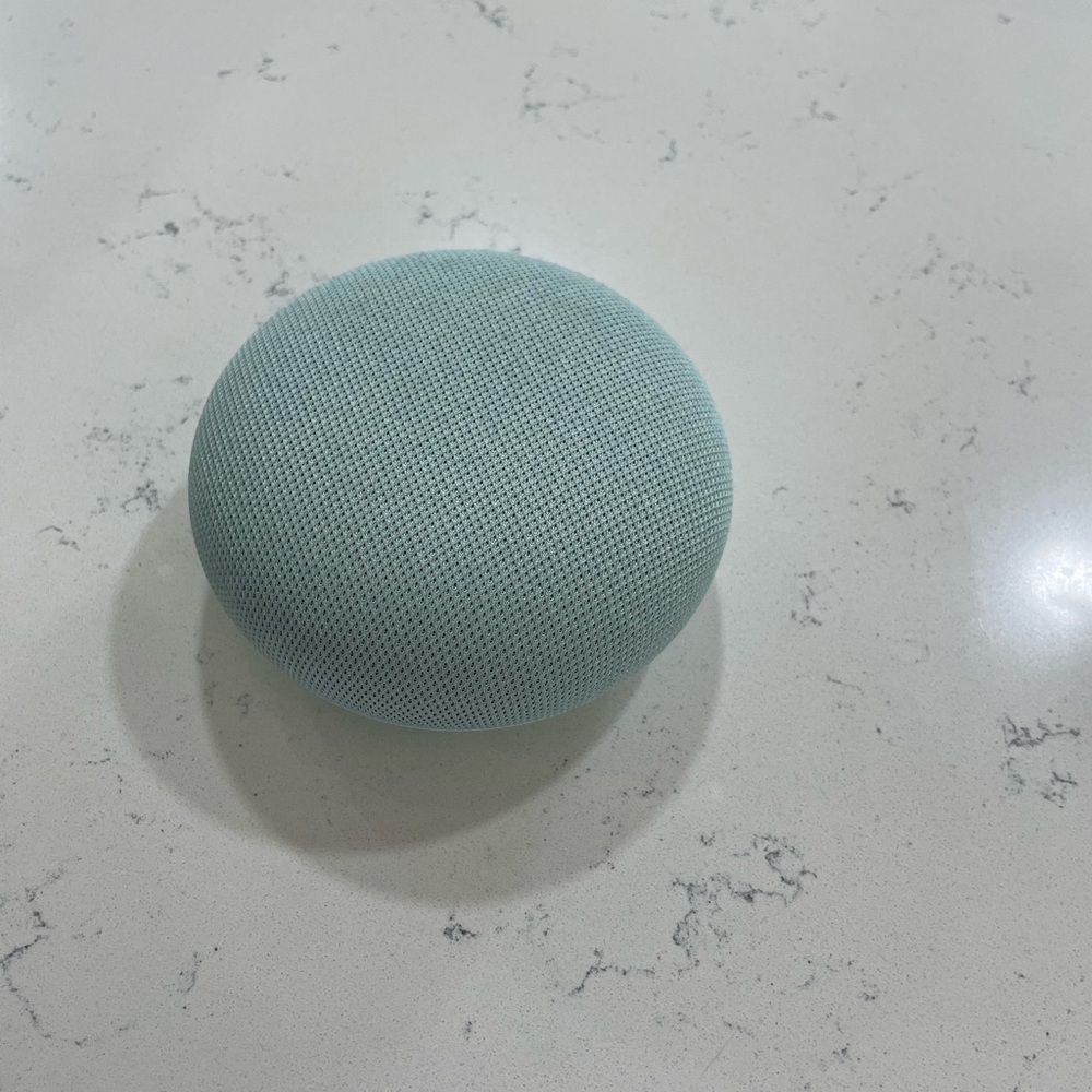 Google Nest Mini Smart Speaker